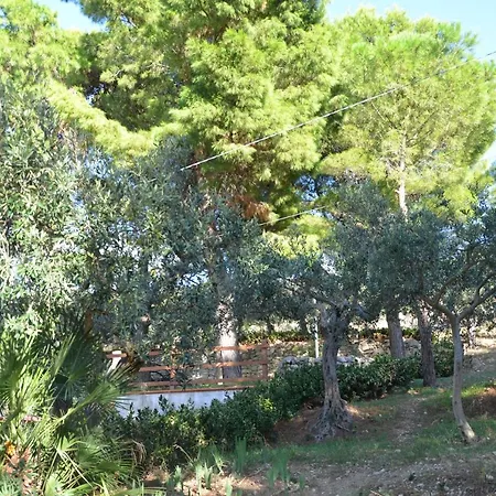Il Paradiso Di Giacomo Erice