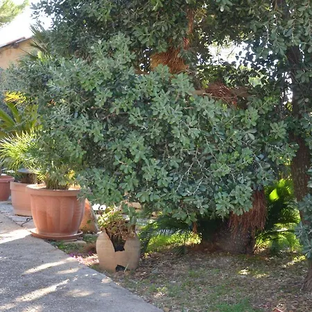 Il Paradiso Di Giacomo Chalet Erice