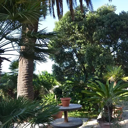 Il Paradiso Di Giacomo